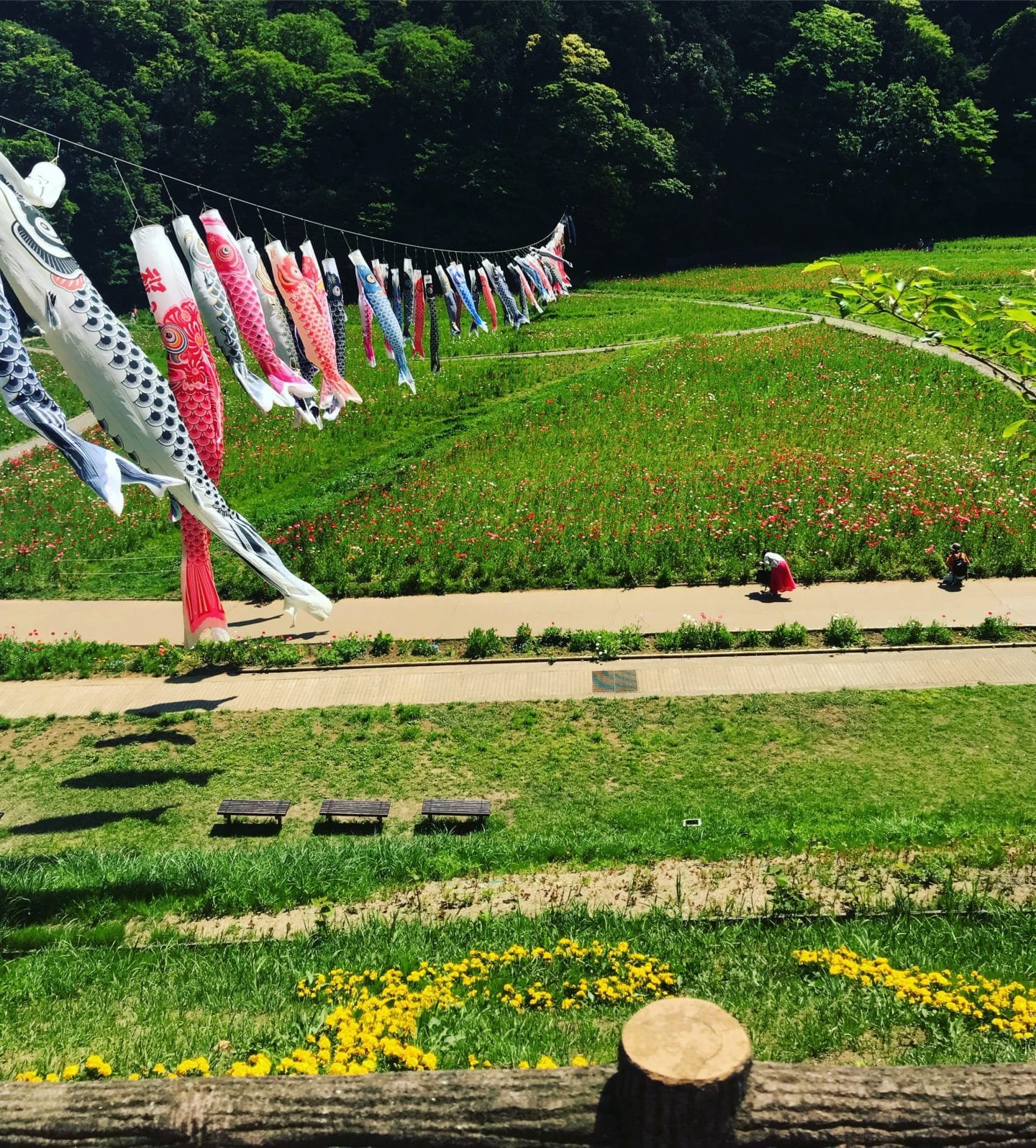 🏞️ 컨트리 파크 (カントリーパーク) 이미지 8